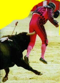 Image of matador.jpg